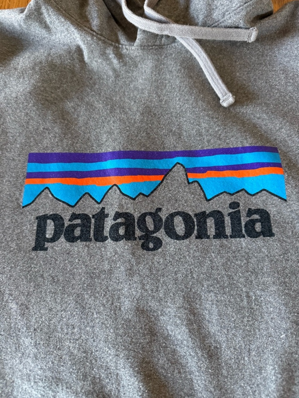 Patagonia Gray Hoodie with Mountain Stripe